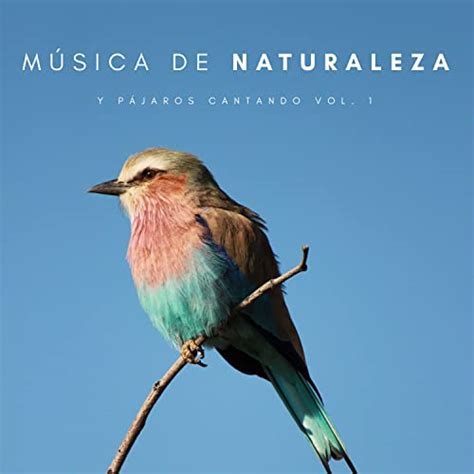 Spiele M Sica De Naturaleza Y P Jaros Cantando Vol Von Tranquilidad