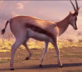 Springbok | Animals Wiki | Fandom