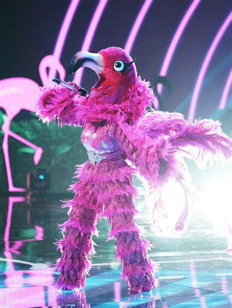 Who Are the Flamingo and Black Widow on The Masked Singer? | PS