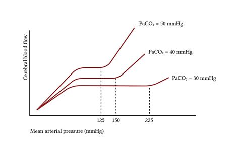 Cerebral Blood Flow Autoregulation Deranged Physiology