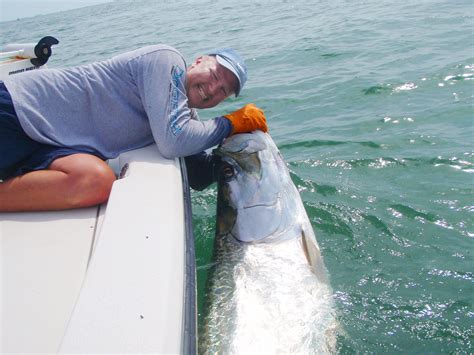 Tarpon Fishing Charter in Clearwater, Florida with Captain Mathey