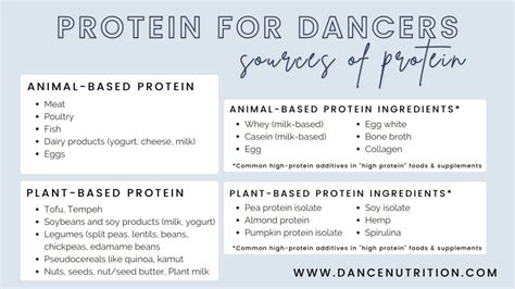 A Dancers Complete Guide To Protein Dance Nutrition