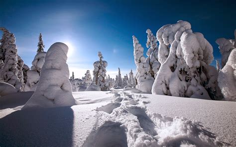 WINTER IN FINLAND