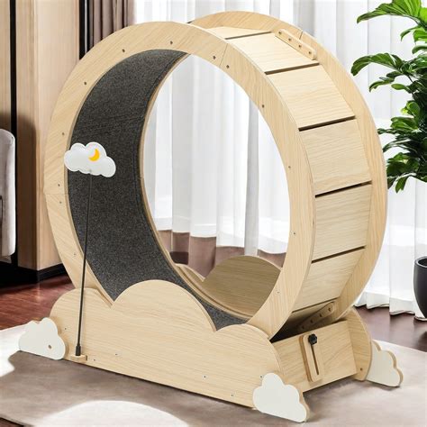 Archie & Oscar™ Indoor Cat Exercise Wheel Cat Treadmill with Locking