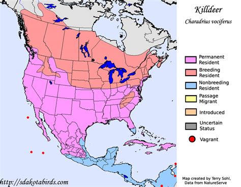 Killdeer - Species Range Map