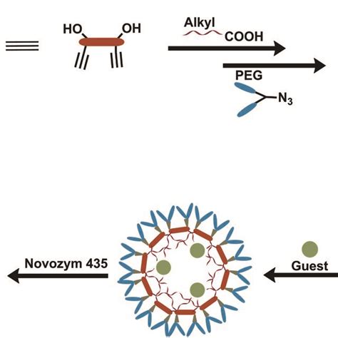 Representation Of Synthesis Self Assembly Of The Amphiphiles Guest