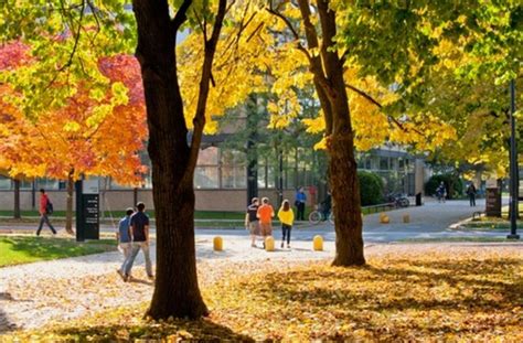 12 National Universities for International Students