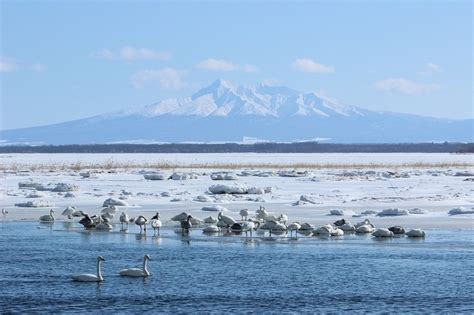 涛沸湖 北海道的观光信息就看uu Spot