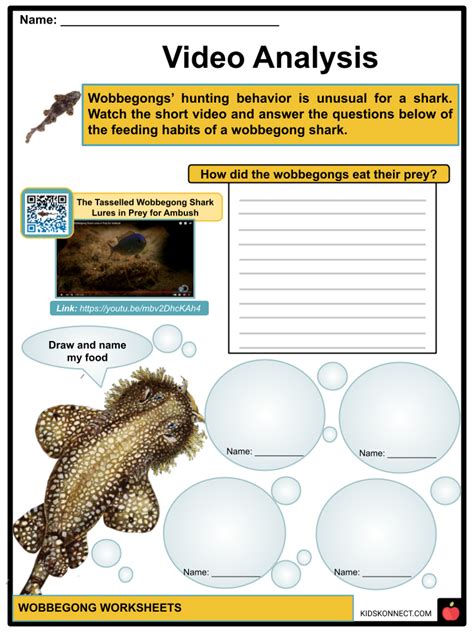 Wobbegong Facts & Worksheets | Characteristics, Behavior, Habitat