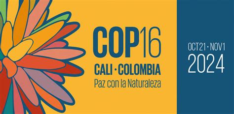 Corpovalle Y La Cop Colombia Una Estrategia Log Stica Que