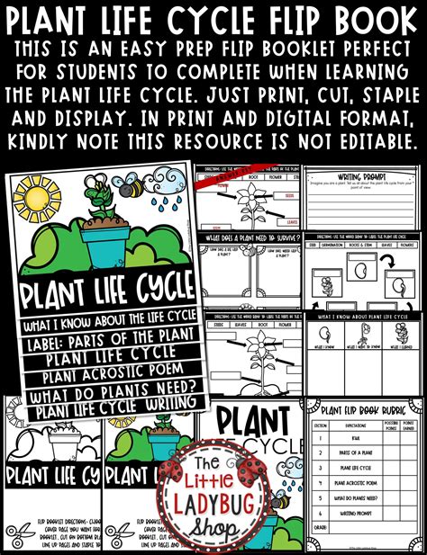 Parts Of Plant Life Cycle Writing Prompt Spring Activities Flip Book