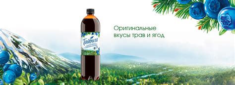 Безалкогольные напитки Тайвига - ООО «Дикомп-Классик»