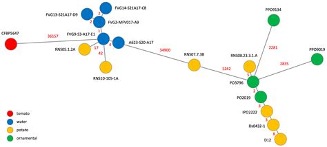 Ijms Free Full Text Clonality And Diversity In The Soft Rot Dickeya Solani Phytopathogen