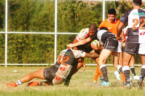 Jacare E S O Jos Seguem Avassaladores No Super Portal Do Rugby