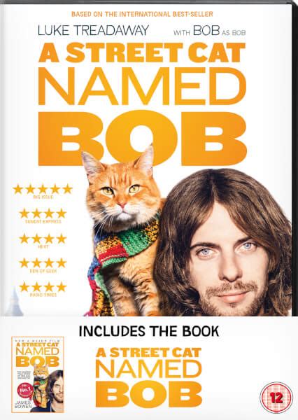 A Street Cat Named Bob & Book (Limited Edition) DVD | Zavvi.com