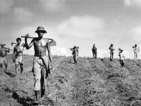 A Reforma Agrária No Brasil Situação Agrária Brasileira E A Reforma