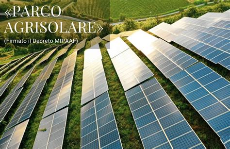 Parco Agrisolare Firmato Il Decreto Per Il Fotovoltaico MIPAAF