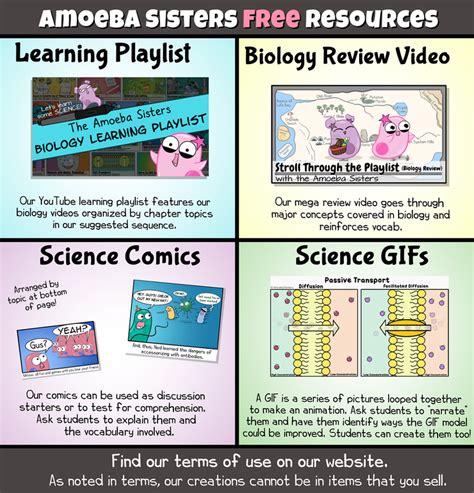 Science With The Amoeba Sisters Pinkys Ed Tech Favorites