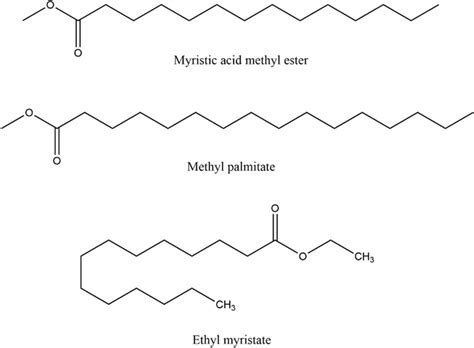 Marker Compounds Of Hydrolyzed And Esterified Endocomia Wax Detected By