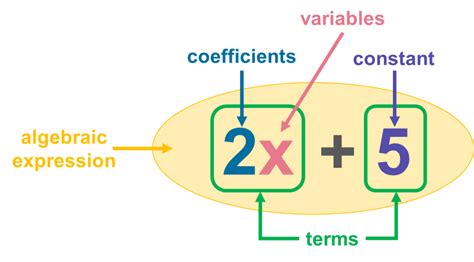 Addition Subtraction Of Algebraic Expressions Solving