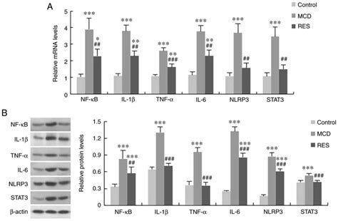 Resveratrol Ameliorates Nutritional Steatohepatitis Through The Mmumir