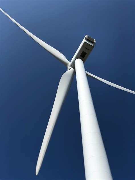 Wind Turbine behind Trees · Free Stock Photo