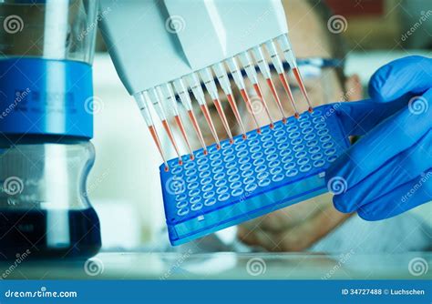 Genetics Researcher Genetic Analysis Royalty Free Stock Photos Image