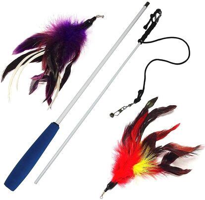 Best Feather Toys for Cats | PetGuide