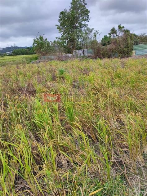 農地芎林交流道旁便宜農地新竹縣芎林鄉新鳳段 樂屋網 土地買賣