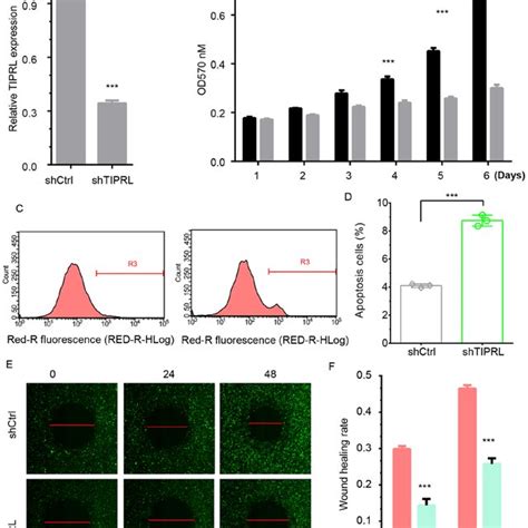 Knockdown Of Tiprl Suppresses Nsclc Migration Using A Transwell Assay