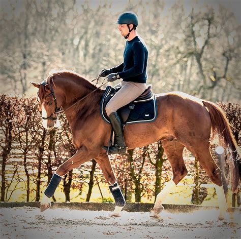 5 tips to make your horse jump higher