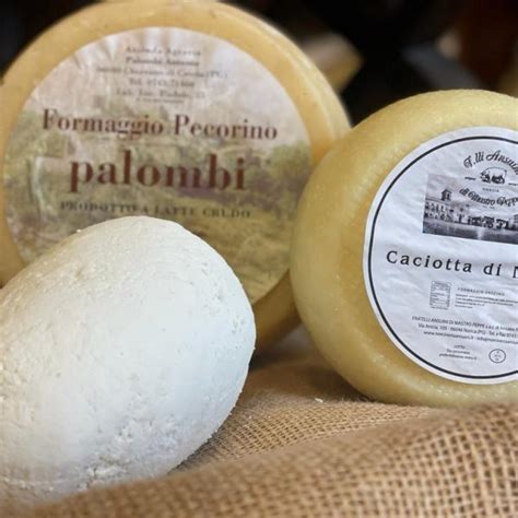 I Formaggi Artigianali Di Norcia Pecorino Caciotta Ricotta Salate