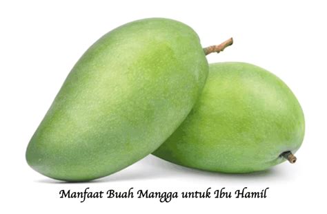 Kandungan Nutrisi Dan Manfaat Mangga Untuk Ibu Hamil Bams