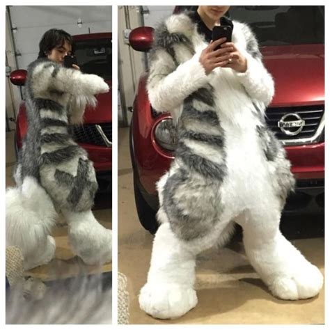 Pin By Random Trash On Salvataggi Rapidi Fursuit Furry Anthro