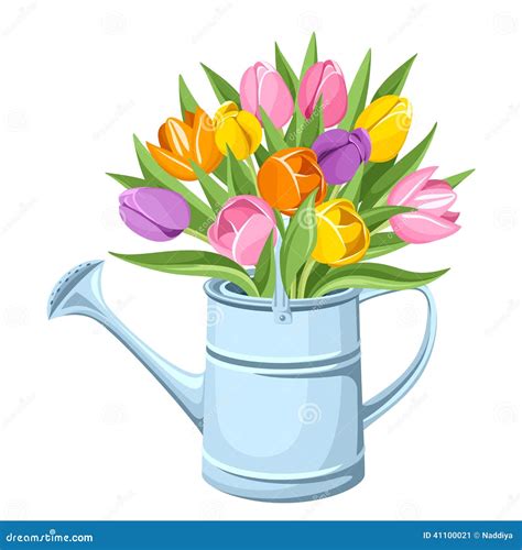 Boeket Van Tulpen In Gieter Vector Illustratie Vector Illustratie