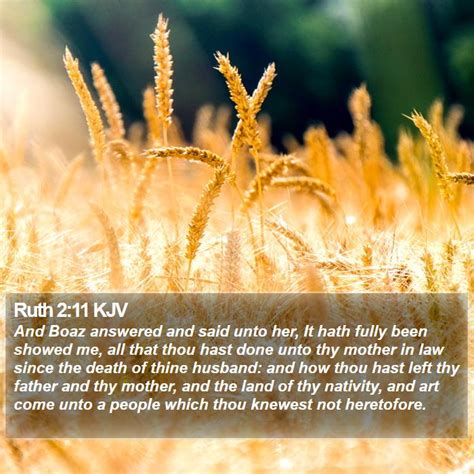 Ruth 2 11 Kjv Bible Verse Images