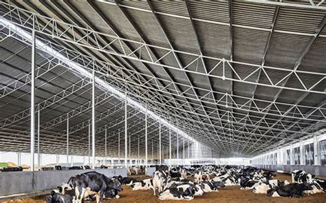 Do You Need a Dairy Barn? - JGM III, Inc.