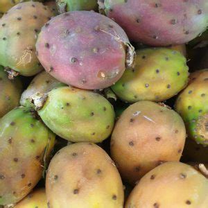 Figs Prickly Pears Archives Leppington Valley Farm