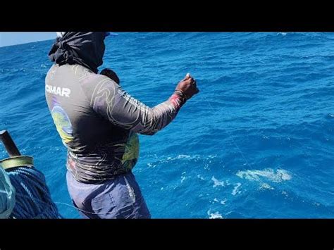 Guerreiros Do Mar FIZEMOS UMA GRANDE PESCARIA A 28 DA COSTA SÓ PEIXE