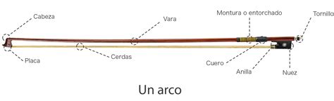 Partes Del Arco Del Viol N Funciones Y Importancia Vanessa Mae