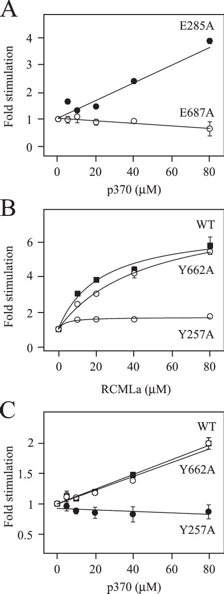 Stimulation Of Atp Hydrolysis By Peptide And Protein Atpase Activity