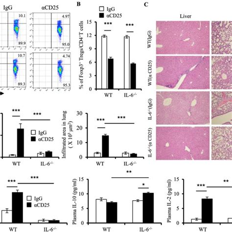 Il 6 Knockout Protects Against Inflammation Induced By Treg Depletion