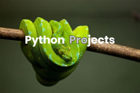 Python Projects From Beginner To Full Stack Comp Sci Central