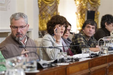 Interrumpen El Pleno De Donostia En Protesta Por La Tala De árboles En