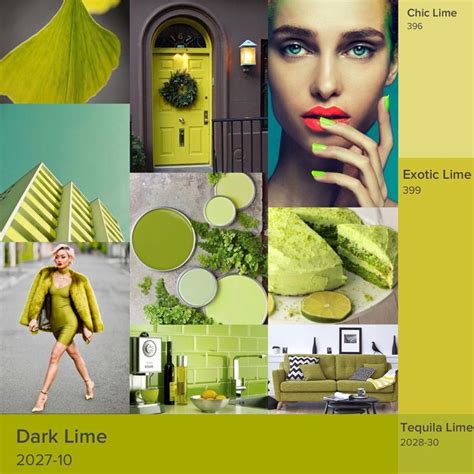 Vibrant Lime Green Paint Colors