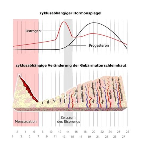 Prämenstruelles Syndrom PMS Gesundheitsinformation de