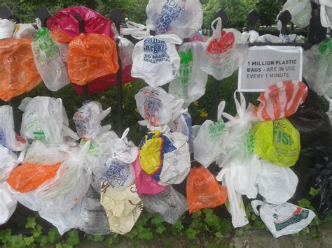 Ecoreps Receive Grant For Plastic Bag Reduction Campaign The Green