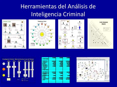 Qu Es La Inteligencia Criminal Econom A Personal