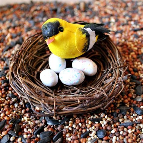 Bird Nest Sensory Bin Fantastic Fun Learning