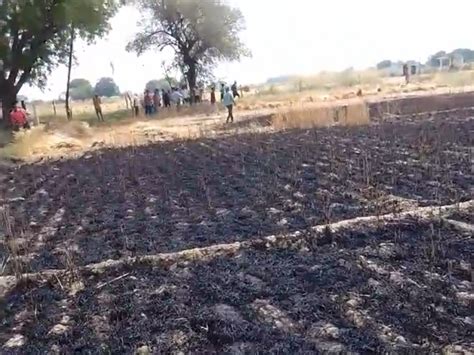 Wheat Crop Burnt In Adokhra Of Bhind भिंड के अड़ोखर में गेहूं की फसल